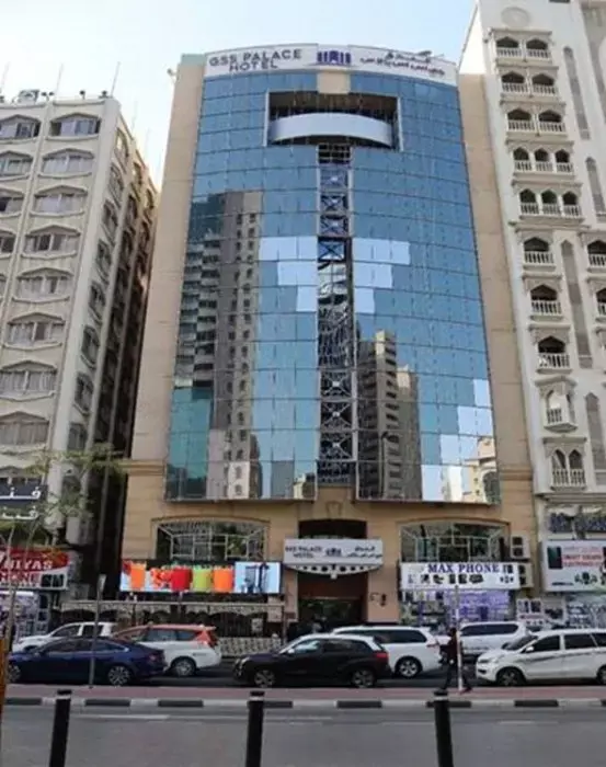 جی اس اس پالاس